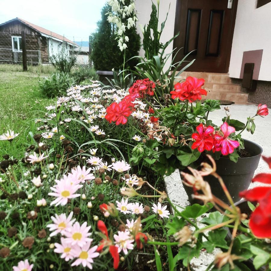Drinski Oganj Kuca Za Odmor Bajina Basta Zewnętrze zdjęcie